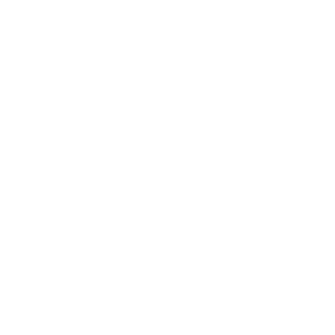 DREAM HOLDINGS